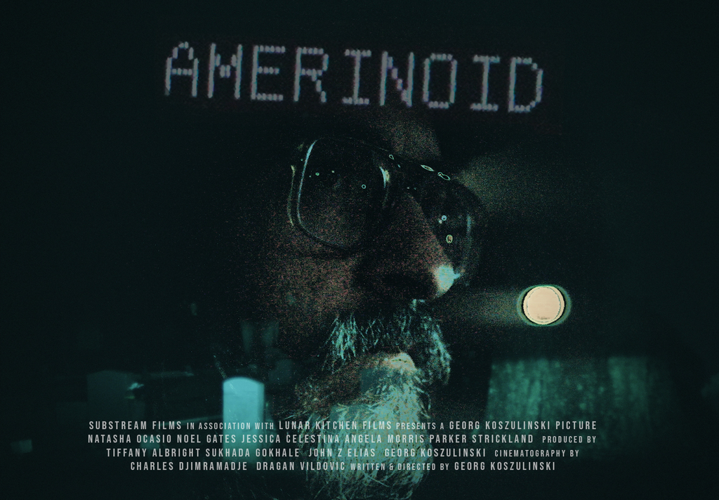 AMERINOID poster